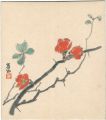 <strong>Ishikawa Toraji</strong><br>自筆色紙 