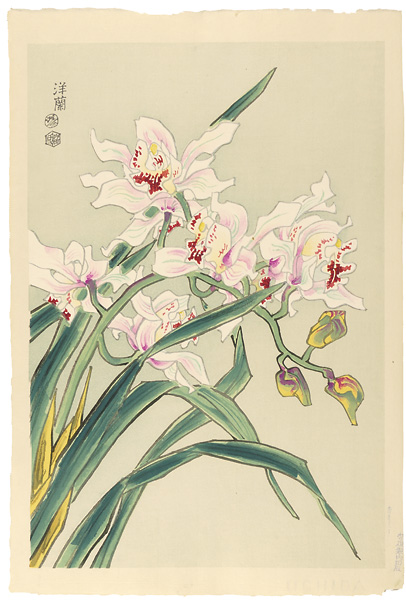 Kotozuka  Eiichi “Orchid”／