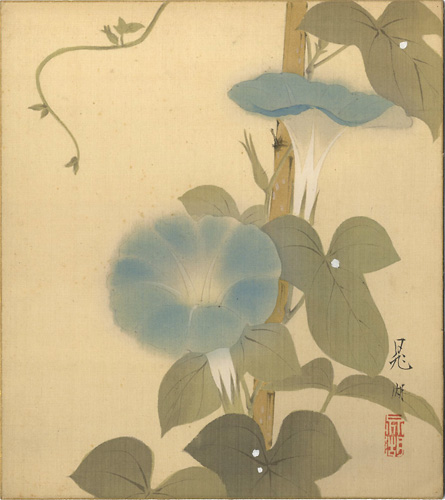 鴨下晁湖｢自筆色紙　朝顔｣／