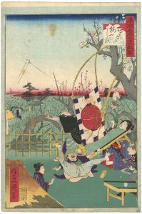 Ikkei/36 Humorous Views of Tokyo / The Plum Garden at Kameido[東京名所三十六戯撰　亀戸梅やしき]