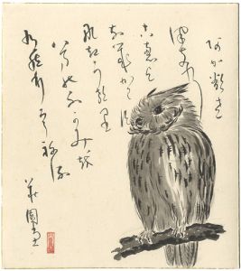 ワード検索：中澤弘光