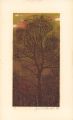 <strong>Hoshi Joichi</strong><br>Evening