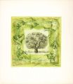 <strong>Watarai Junsuke</strong><br>Tree