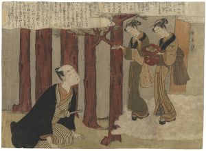 Harunobu/Shunga：The Delightful Love Adventures of Maneemon / #1 Ukiyonosuke Meets Ofuji and Osen[風流艶色真似ゑもん　一]