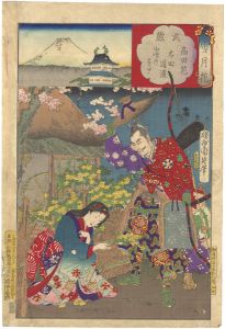 Chikanobu/Setsugekka (Snow, Moon and Flowers) / Musashi Province : Flowers at Takada, Ota Dokan[雪月花　武蔵　高田花　太田道灌]