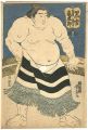 <strong>Yoshitora</strong><br>Sumo-e : Kurokumo Ryugoro