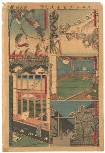 Sadanobu I/Cut-out Pictures of 100 views of Famous Places in Edo[名所江戸百景張交]