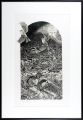 <strong>Kobayashi Keisei</strong><br>Transferred soul