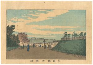 Yasuji,Tankei/True Pictures of Famous Places of Tokyo / Kinokuni Hill, Akasaka[東京真画名所図解　赤坂紀伊国坂]