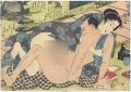 <strong>Eisen</strong><br>Shunga