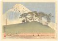 <strong>Tokuriki Tomikichiro</strong><br>36 Views of Mt. Fuji / Mt. Fuj......