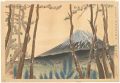 <strong>Tokuriki Tomikichiro</strong><br>36 Views of Mt. Fuji / Mt. Fuj......
