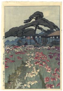 Shinhanga