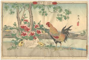 琳斎｢花鳥画譜｣