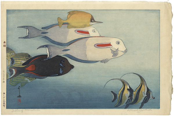 Yoshida Hiroshi “The Honolulu Aquarium”／