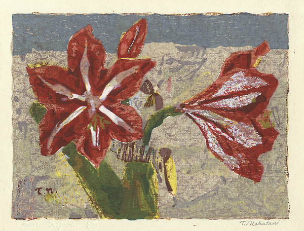 Nakatani Tai “Amaryllis”／