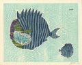 <strong>Kuri Yoji</strong><br>Nameles Fishes
