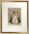 <strong>Kurt Meyer-Eberhardt</strong><br>Dog and Bee