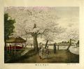 <strong>Fukumiya Genjiro</strong><br>Cherry Blossoms at Mukojima