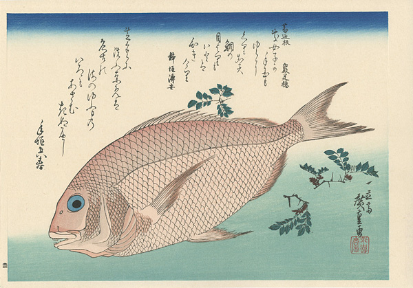 Hiroshige I “A Series of Fish Subjects / Sea Bream and Sansho 【Reproduction】”／