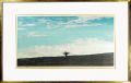 <strong>Hoshi Joichi</strong><br>Landscape(D)