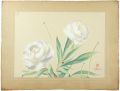 <strong>Oguri Yoshiji</strong><br>Peony