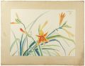<strong>Oguri Yoshiji</strong><br>Daylily