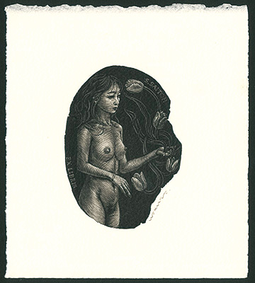 Wakuta Toshiyuki “Ex Libris / Tulip & Nude”／