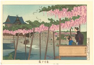 Kiyochika/Pictures of Famous Places in Tokyo / Wisteria at Kameido【Reproduction】[東京名所図　亀井戸藤【復刻版】]