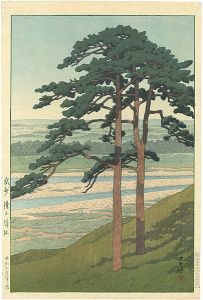 Kawase Hasui : Travelling poet