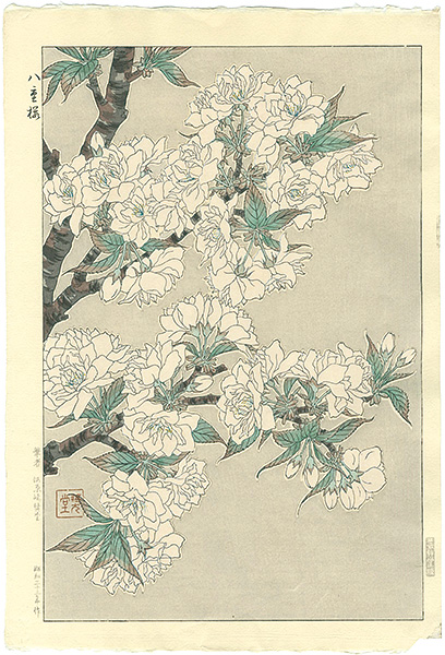 河原崎奨堂｢八重桜｣／