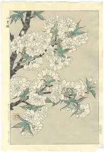 河原崎奨堂｢八重桜｣