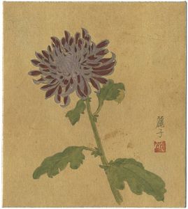 岸田麗子｢自筆画色紙　菊｣