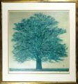 <strong>Hoshi Joichi</strong><br>Big Tree