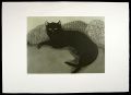 <strong>Kobayashi Donge</strong><br>Black Cat