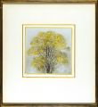 <strong>Hoshi Joichi</strong><br>Maple