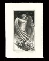 <strong>Hayashi Yukiko</strong><br>Angel of The Bibliophile