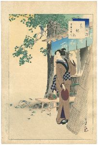 Toshikata/36 Elegant Selections - Tea-house Waitress / Woman of around the Horeki Era	[三十六佳撰　茶酌女　宝暦頃婦人]