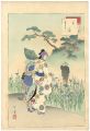 <strong>Toshikata</strong><br>36 Elegant Selections - Iris /......
