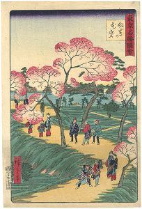 Hiroshige III/[東京名勝図会　向島の花盛]