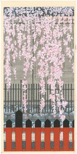 加藤晃秀｢桜の譜｣