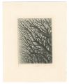 <strong>Kimura Shigeru</strong><br>Art Work