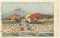 <strong>Yoshida Hiroshi</strong><br>Ten Views of Fuji / Autumn