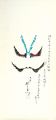 Kumadori (stage makeup worn by......