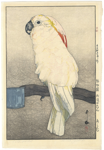 Yoshida Hiroshi “At the Zoological Garden / Salmon-crested Cockatoo”／