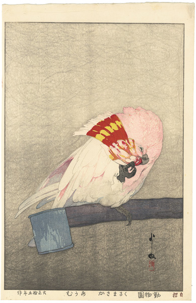 Yoshida Hiroshi “At the Zoological Garden / Major Mitchell's Cockatoo”／