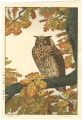 <strong>Yoshida Toshi</strong><br>Eagle Owl