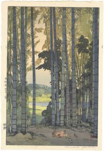 Yoshida Hiroshi : Master of Modern Landscape Painting