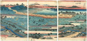 Hiroshige I/Famous places in the Eastern Capital / Asukayama[東都名所飛鳥山全図]