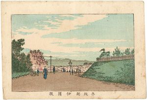 Yasuji,Tankei/True Pictures of Famous Places of Tokyo / Kinokuni Hill, Akasaka[東京真画名所図解　赤坂紀伊国坂]